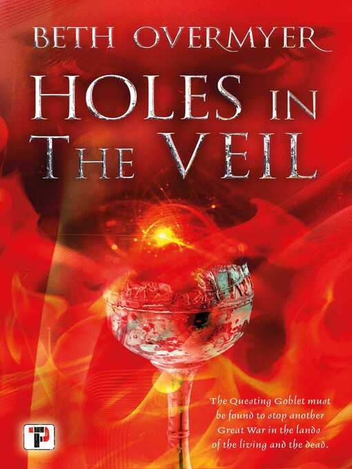 Title details for Holes in the Veil by Beth Overmyer - Wait list